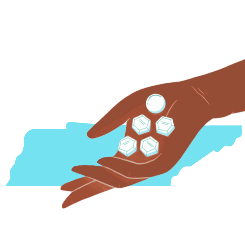 Abortion pill Tennessee